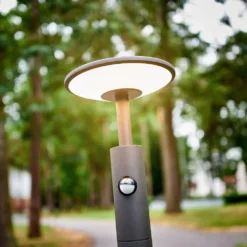 Fenia Lámpara Para Jardín W/Sensor Anthracite/Opal - Lucande -Iluminación Tienda De Ventas 42510965480134