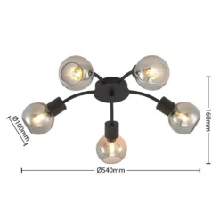 Eridia 5 Round Lámpara De Techo Black - Lindby -Iluminación Tienda De Ventas 42519117284224