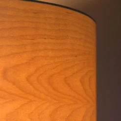 Veneer Lámpara De Techo Ø40 Alder - Envostar -Iluminación Tienda De Ventas 42519117334334